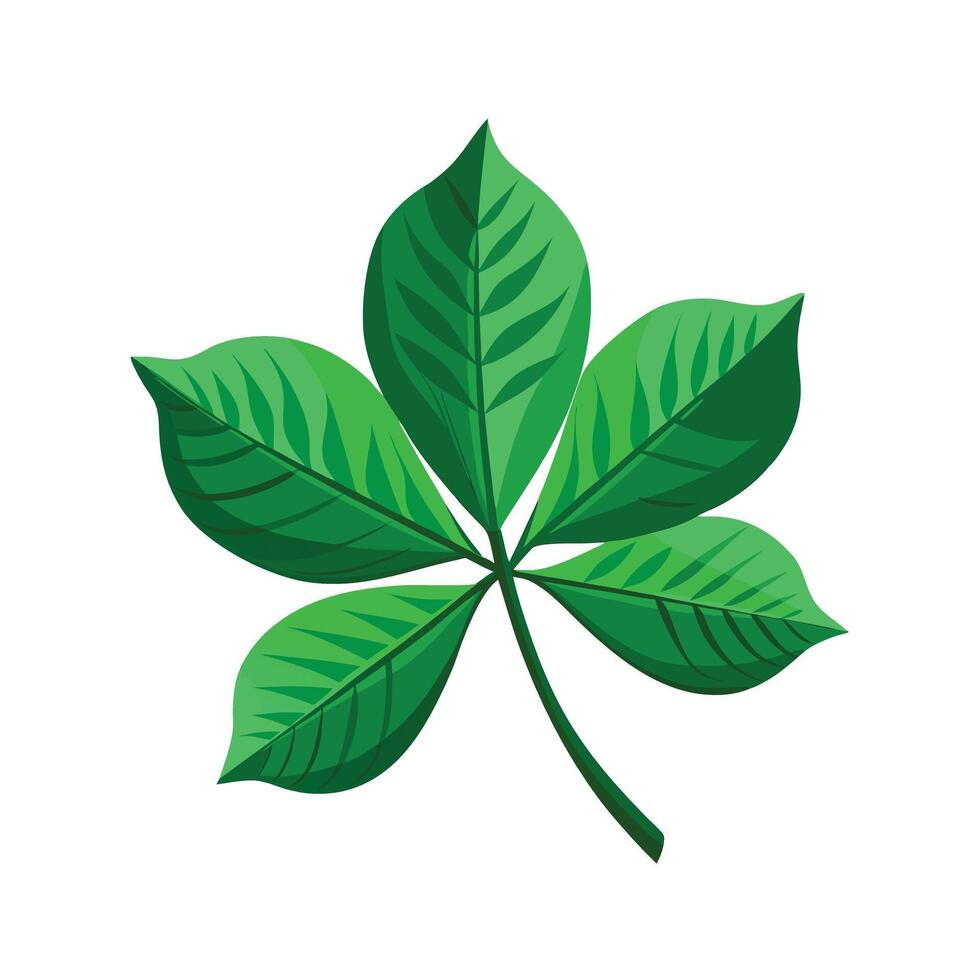 Realistic Beautiful Leaves Illustration vector