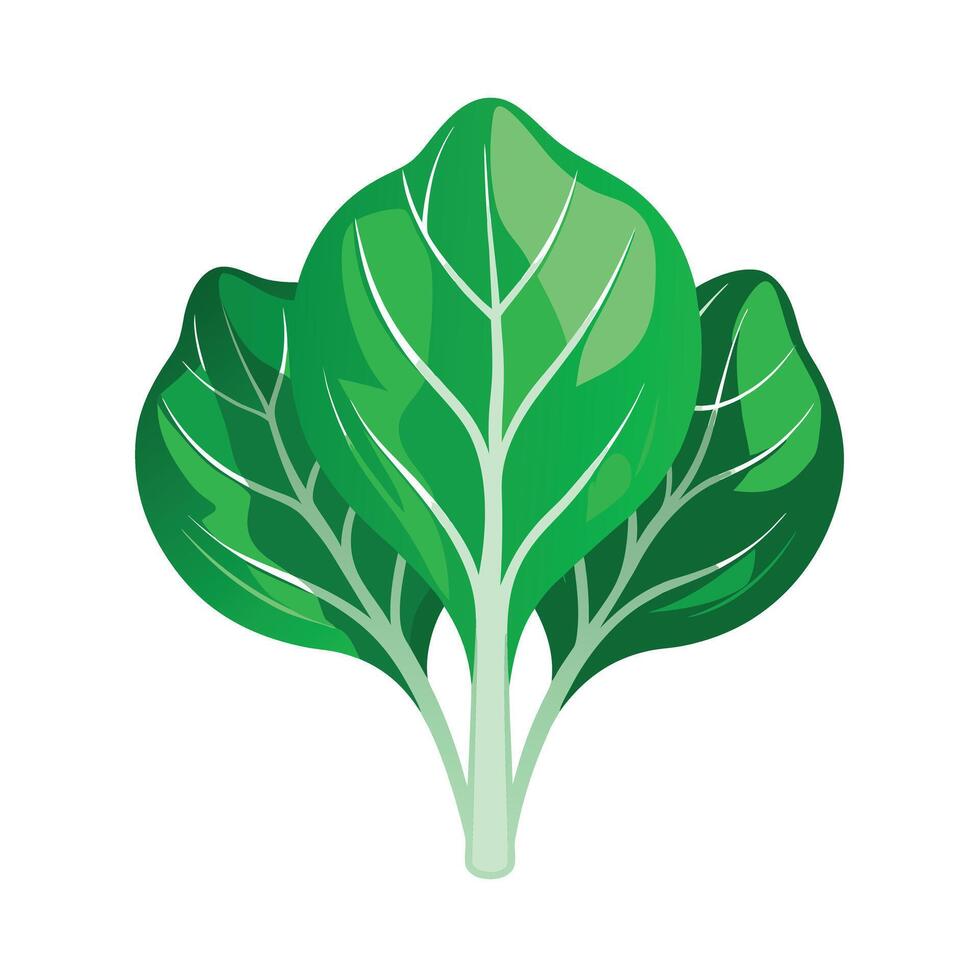 Realistic Beautiful Leaves Illustration vector