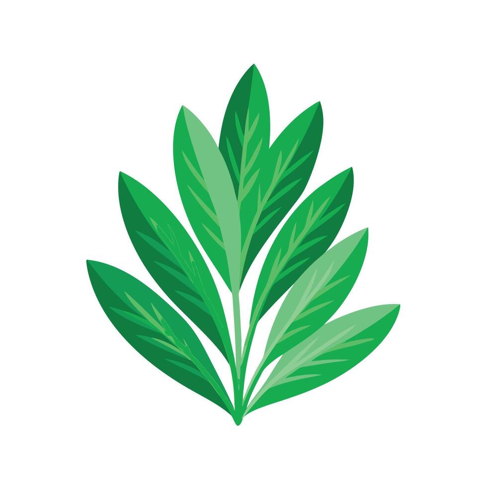 Realistic Beautiful Leaves Illustration vector