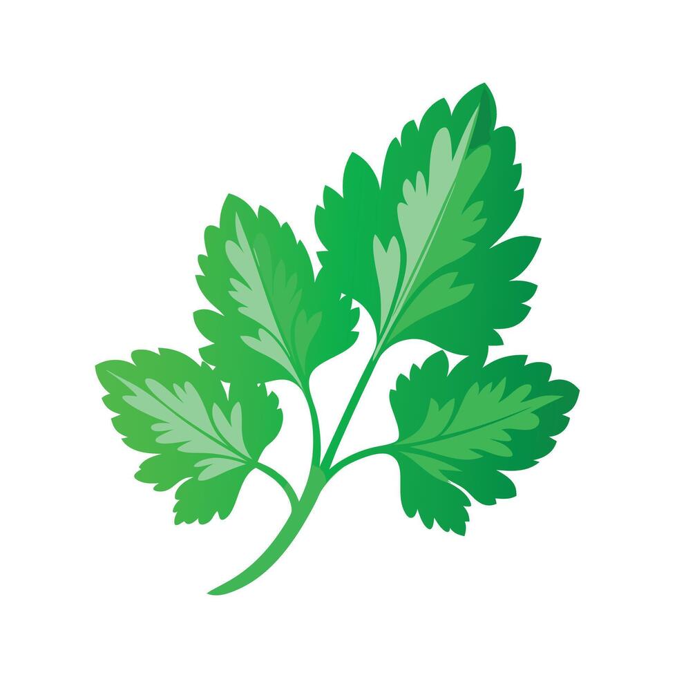 Realistic Beautiful Leaves Illustration vector