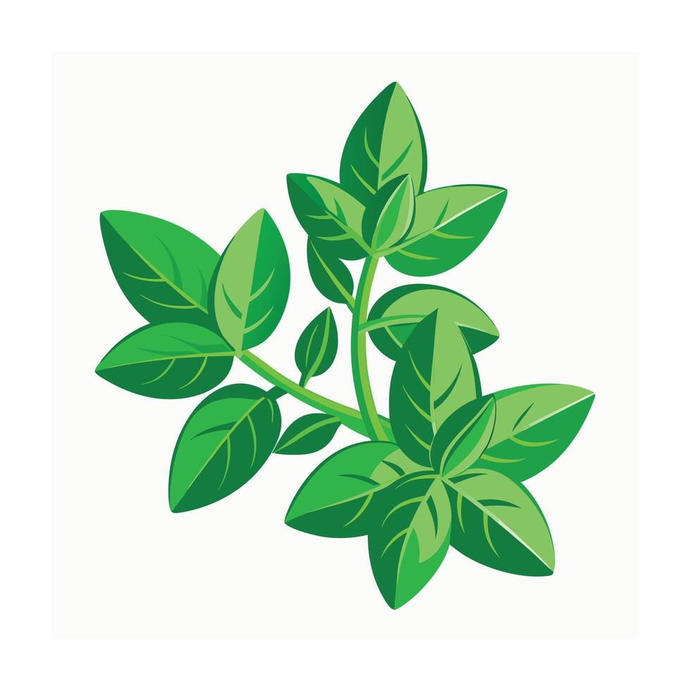 Realistic Beautiful Leaves Illustration vector