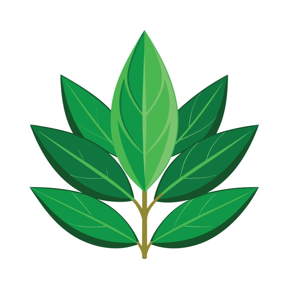 Realistic Beautiful Leaves Illustration vector