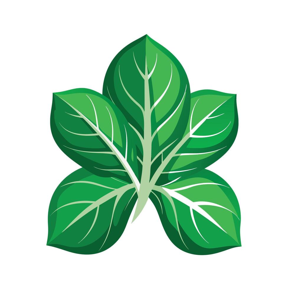 Realistic Beautiful Leaves Illustration vector
