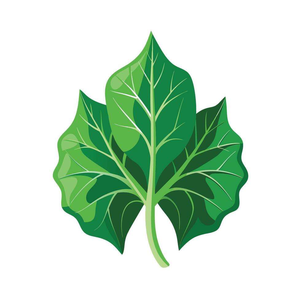Realistic Beautiful Leaves Illustration vector