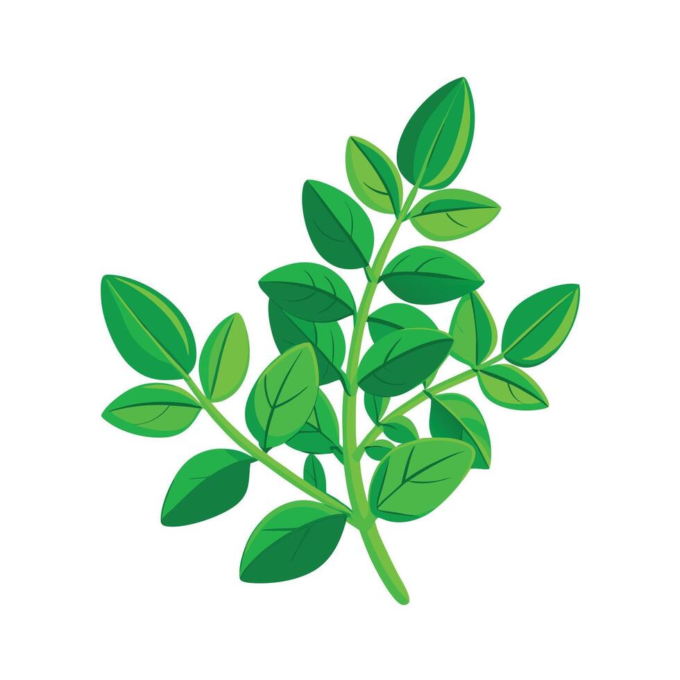 Realistic Beautiful Leaves Illustration vector
