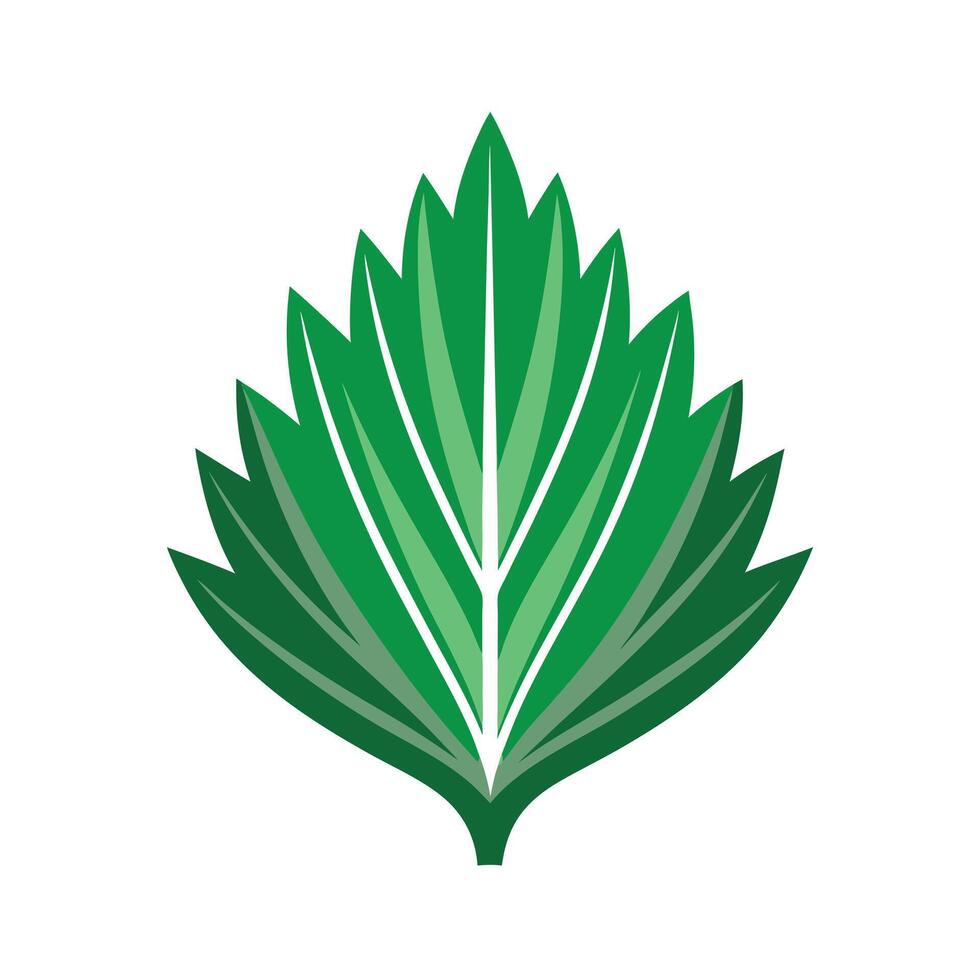 Realistic Beautiful Leaves Illustration vector
