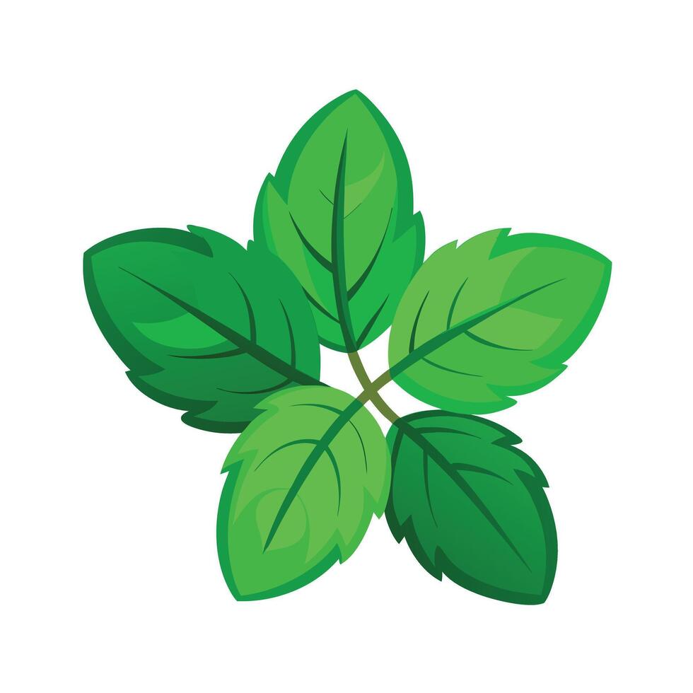 Realistic Beautiful Leaves Illustration vector