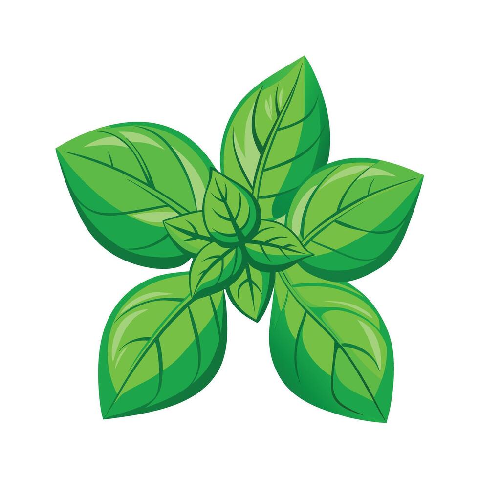 Realistic Beautiful Leaves Illustration vector