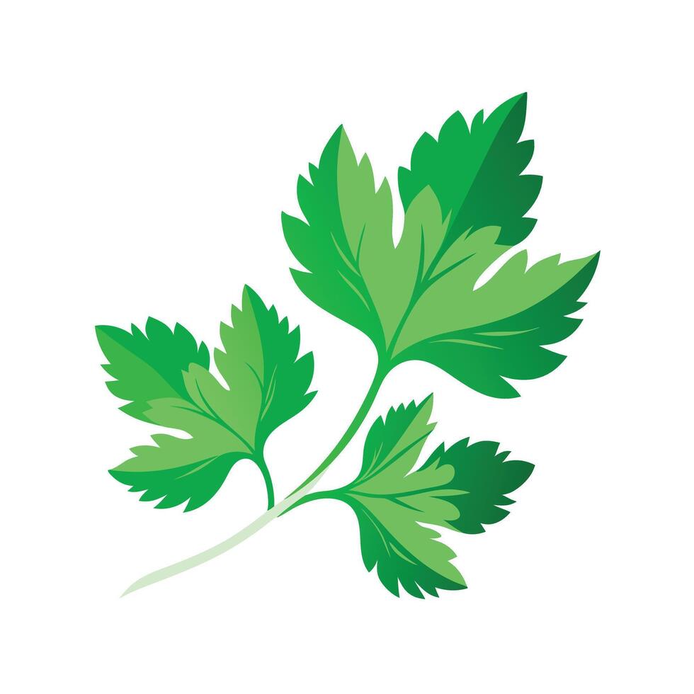 Realistic Beautiful Leaves Illustration vector