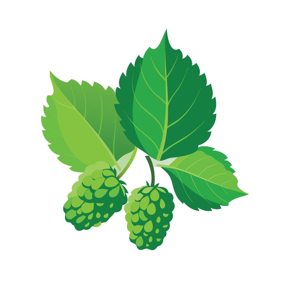 Realistic Beautiful Leaves Illustration vector