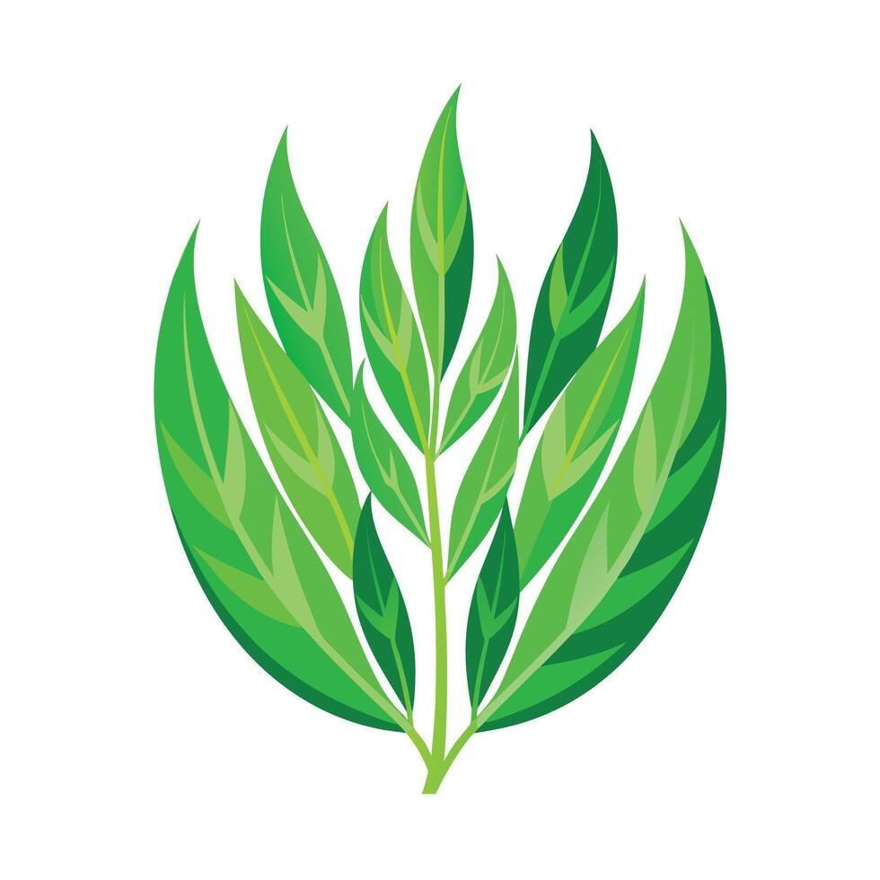 Realistic Beautiful Leaves Illustration vector