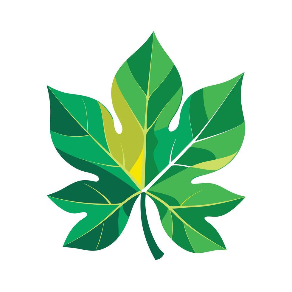 Realistic Beautiful Leaves Illustration vector