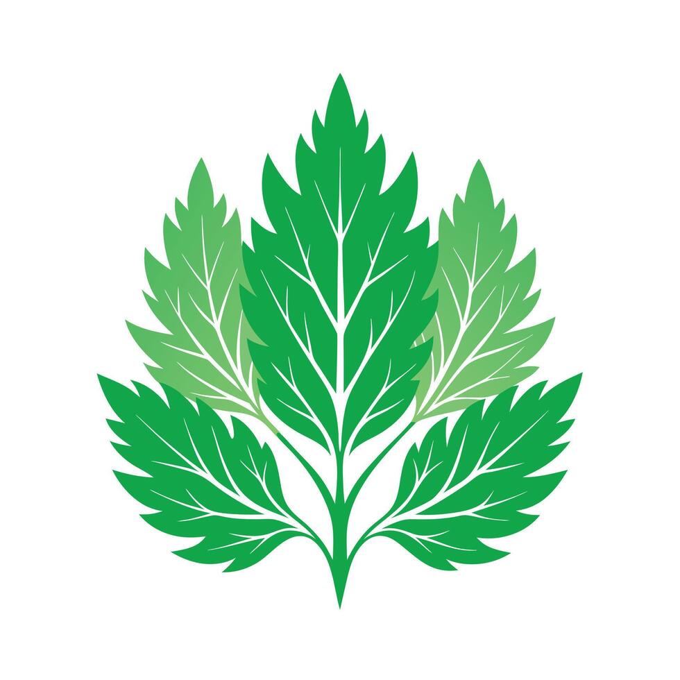 Realistic Beautiful Leaves Illustration vector