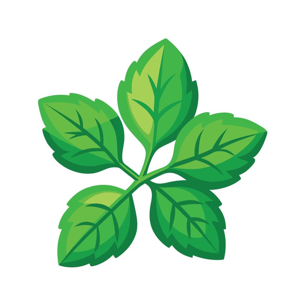 Realistic Beautiful Leaves Illustration vector