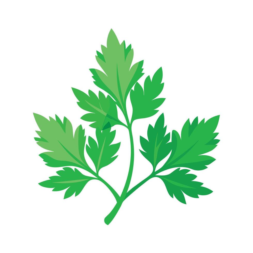 Realistic Beautiful Leaves Illustration vector
