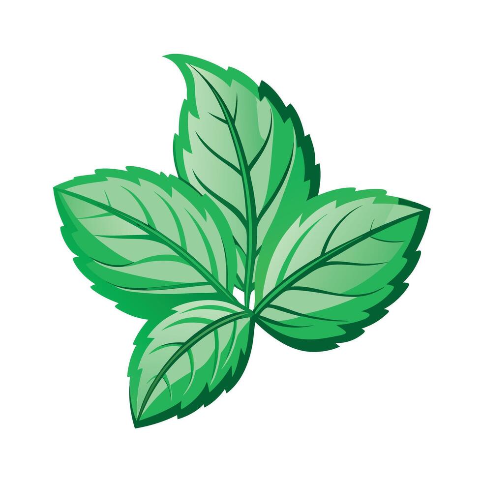 Realistic Beautiful Leaves Illustration vector