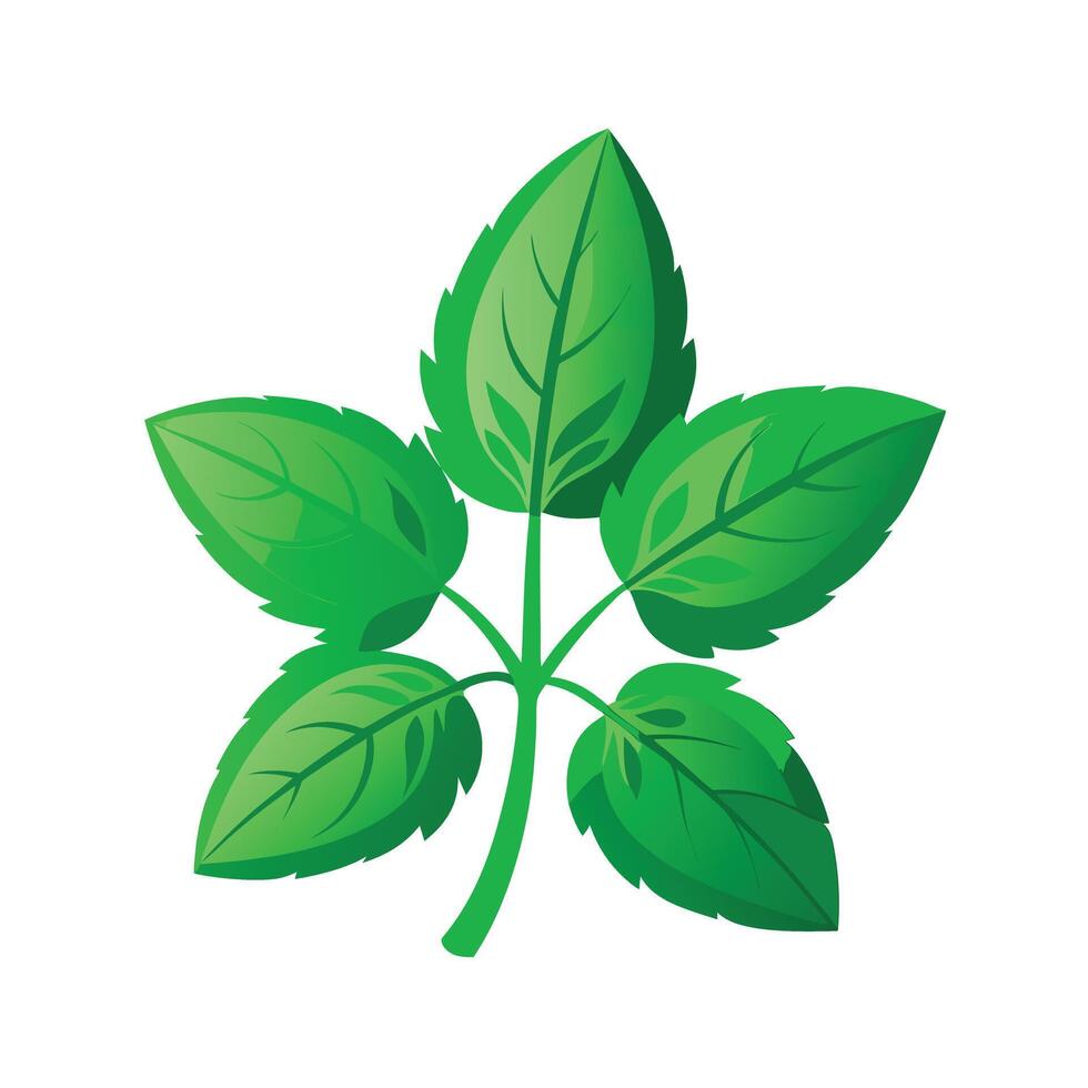 Realistic Beautiful Leaves Illustration vector