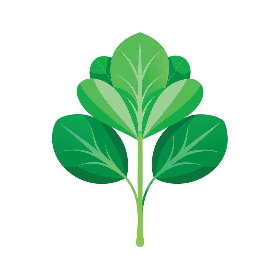 Realistic Beautiful Leaves Illustration vector