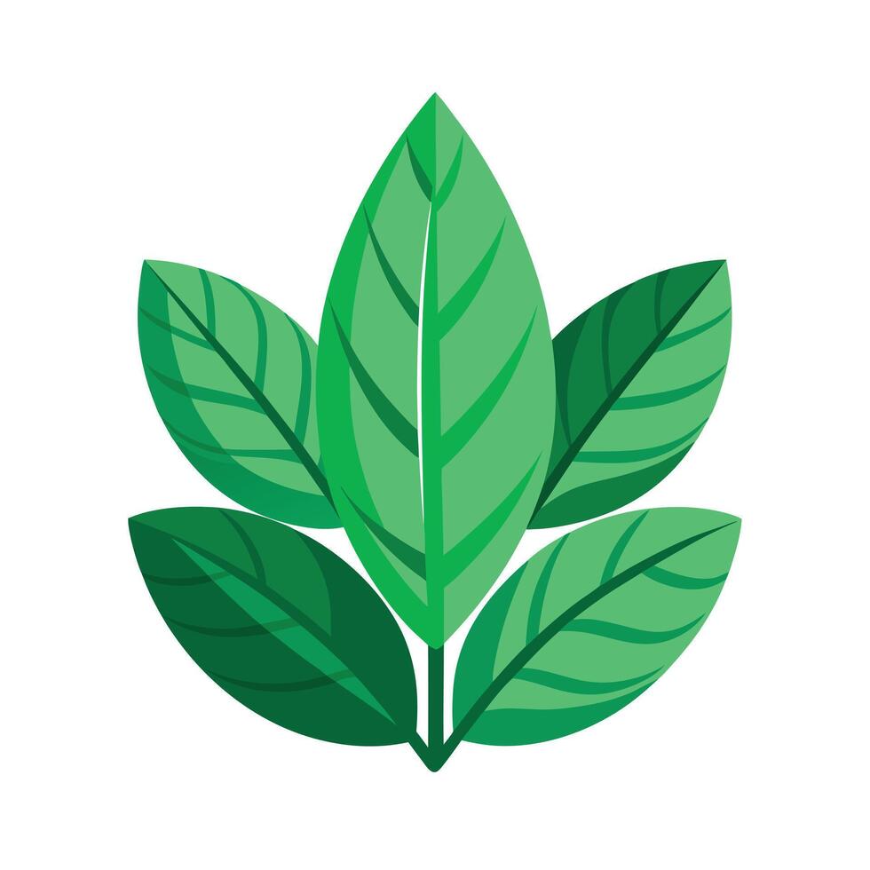 Realistic Beautiful Leaves Illustration vector