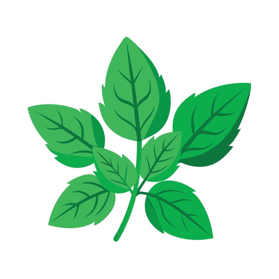 Realistic Beautiful Leaves Illustration vector