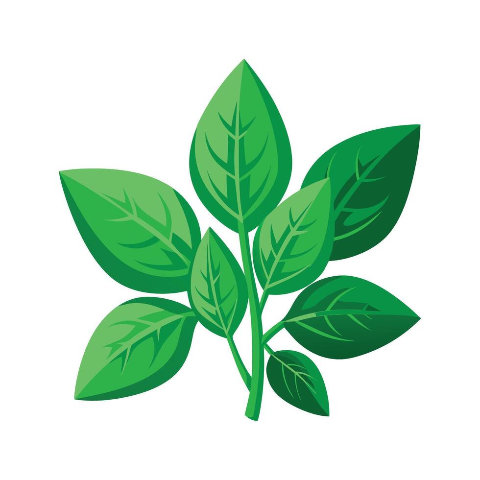 Realistic Beautiful Leaves Illustration vector