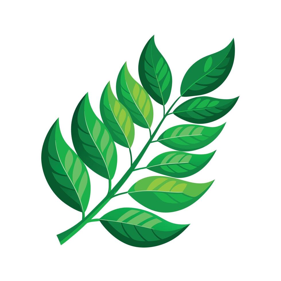 Realistic Beautiful Leaves Illustration vector