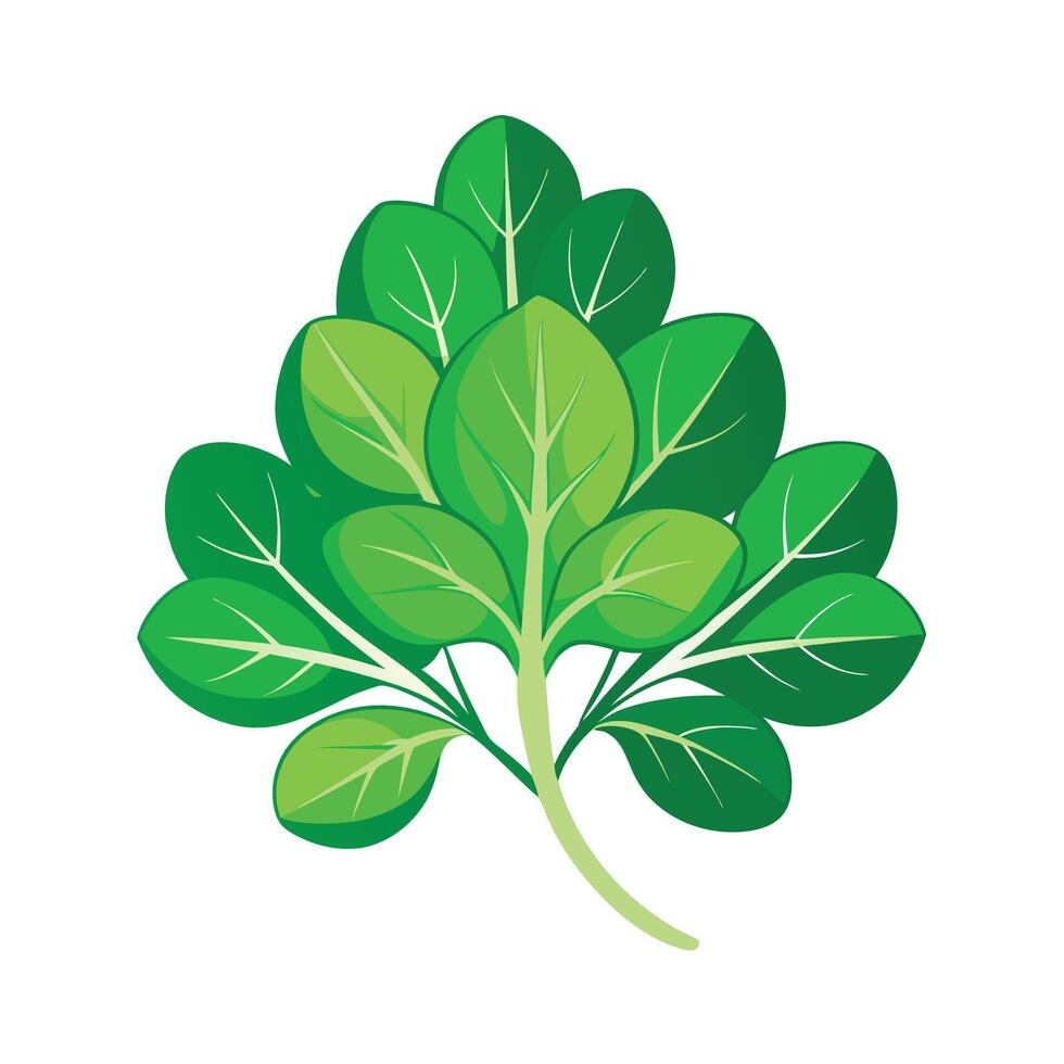 Realistic Beautiful Leaves Illustration vector