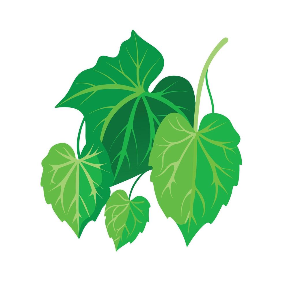 Realistic Beautiful Leaves Illustration vector