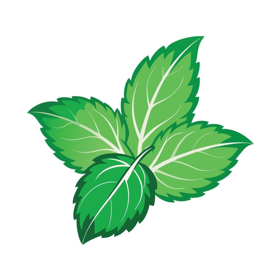 Realistic Beautiful Leaves Illustration vector