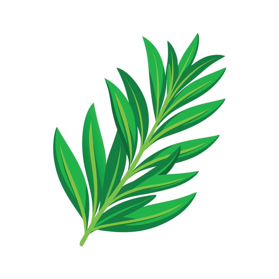 Realistic Beautiful Leaves Illustration vector