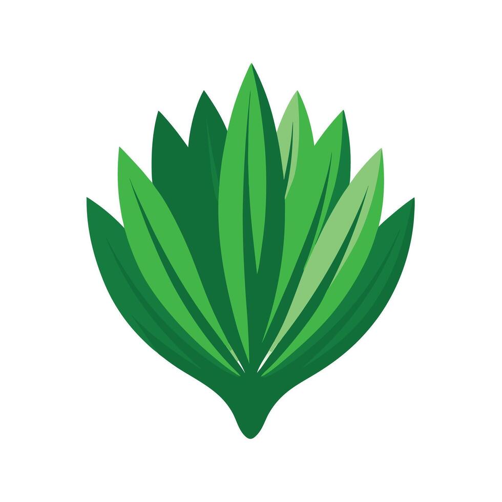 Realistic Beautiful Leaves Illustration vector