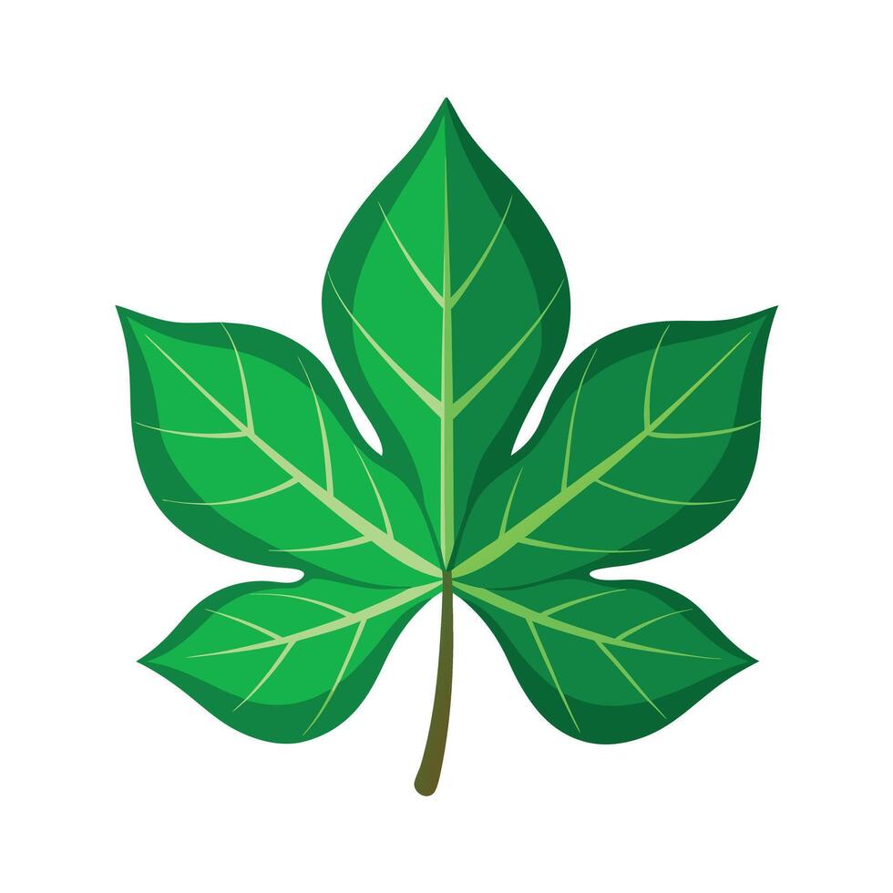 Realistic Beautiful Leaves Illustration vector