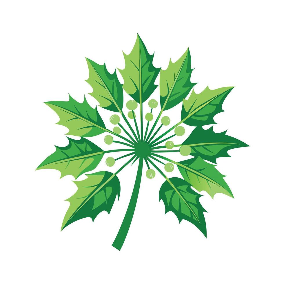 Realistic Beautiful Leaves Illustration vector