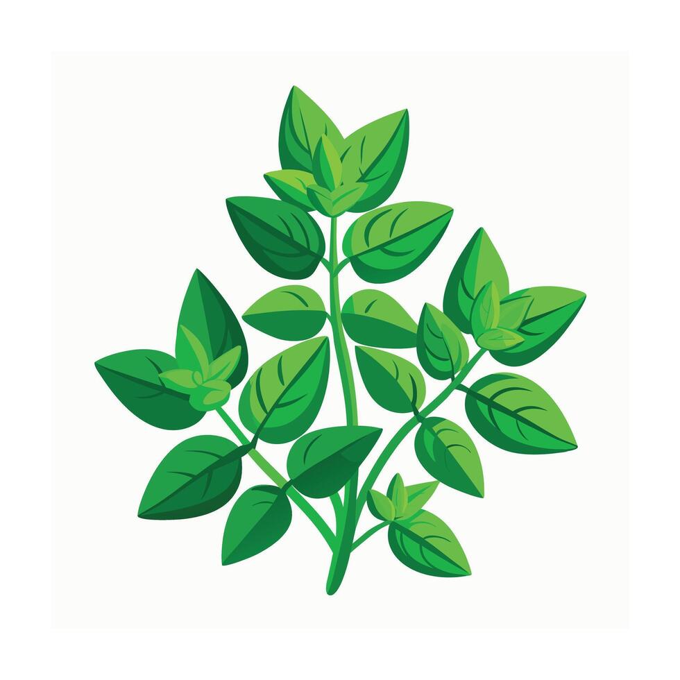 Realistic Beautiful Leaves Illustration vector