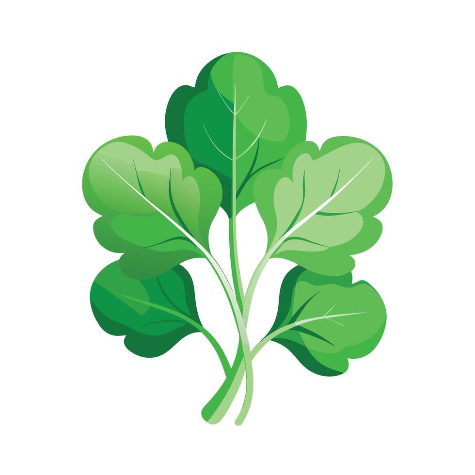 Realistic Beautiful Leaves Illustration vector