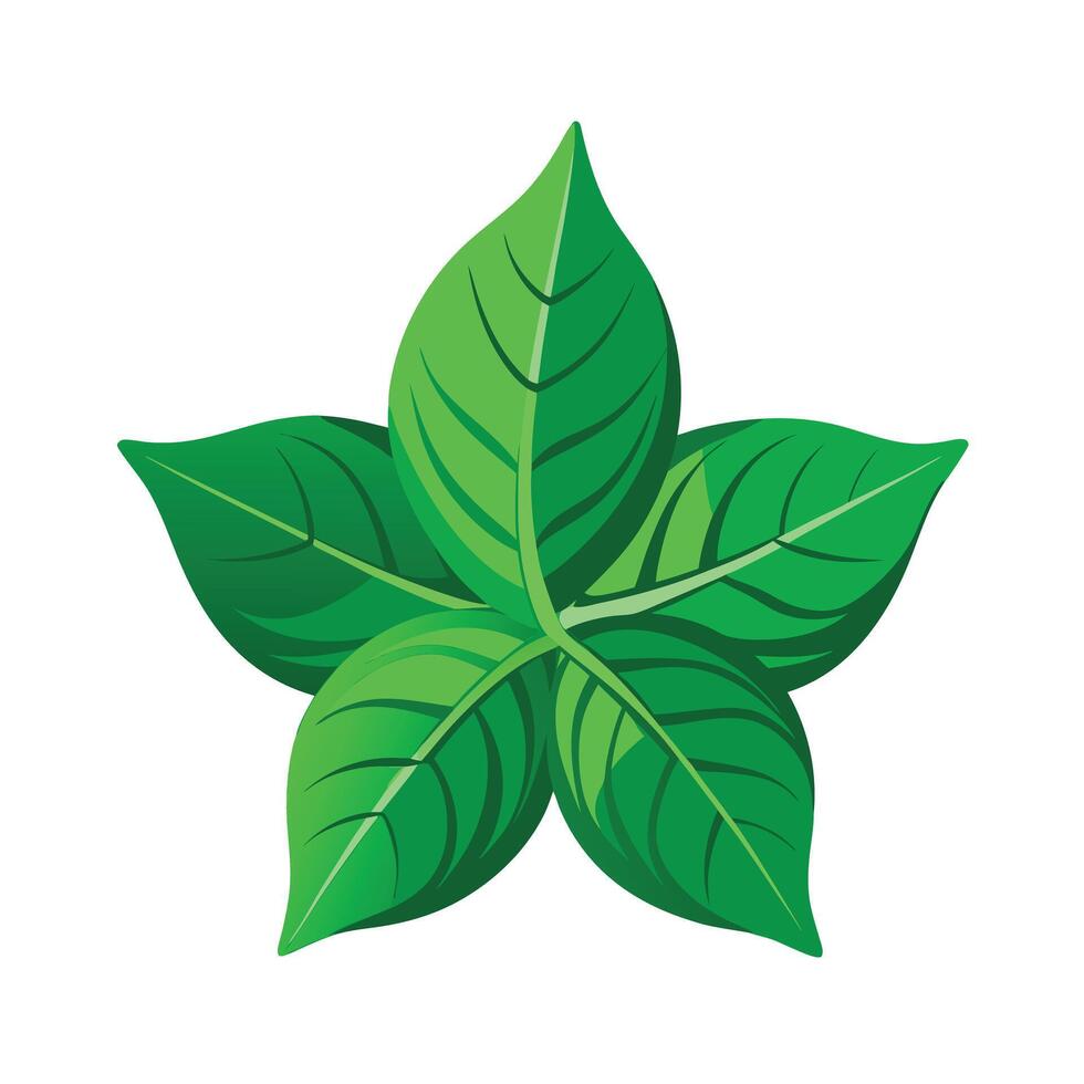 Realistic Beautiful Leaves Illustration vector