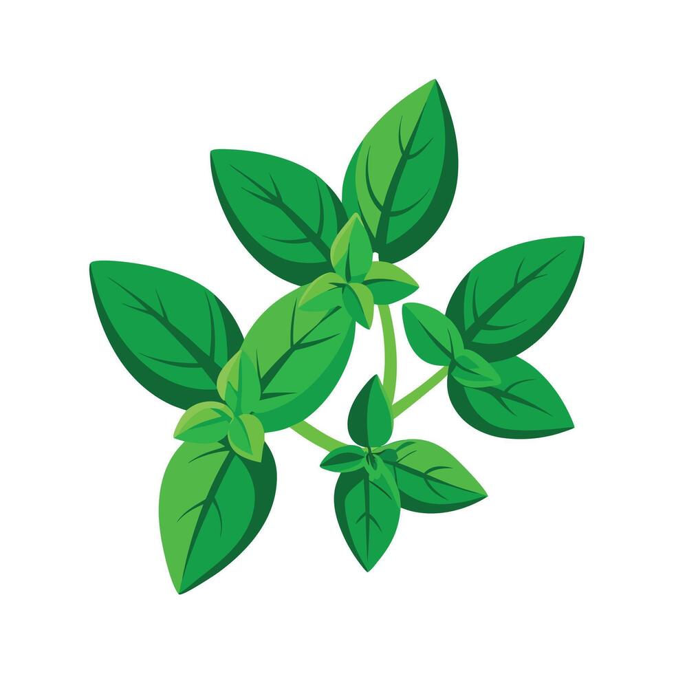 Realistic Beautiful Leaves Illustration vector