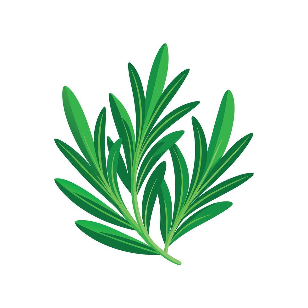 Realistic Beautiful Leaves Illustration vector
