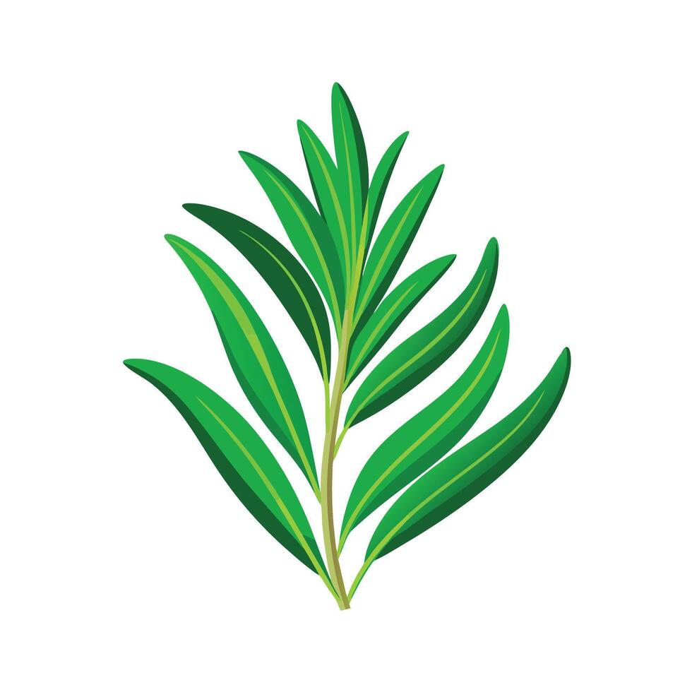 Realistic Beautiful Leaves Illustration vector