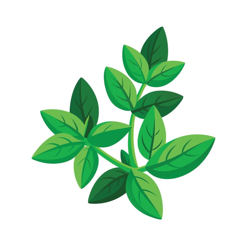 Realistic Beautiful Leaves Illustration vector