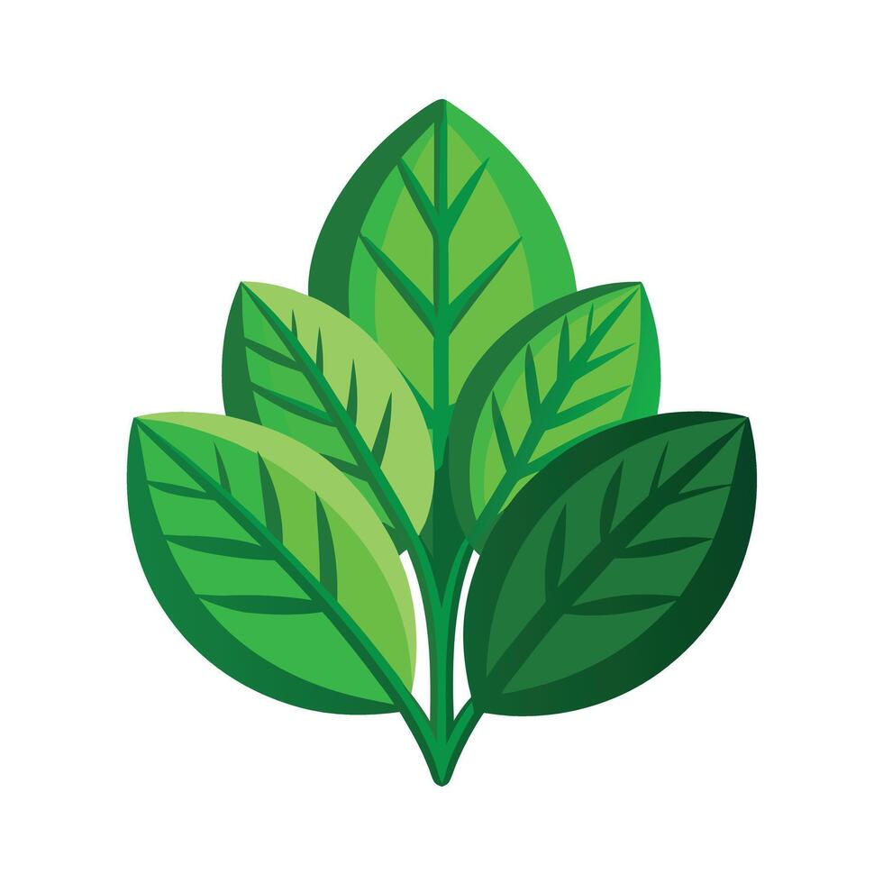 Realistic Beautiful Leaves Illustration vector