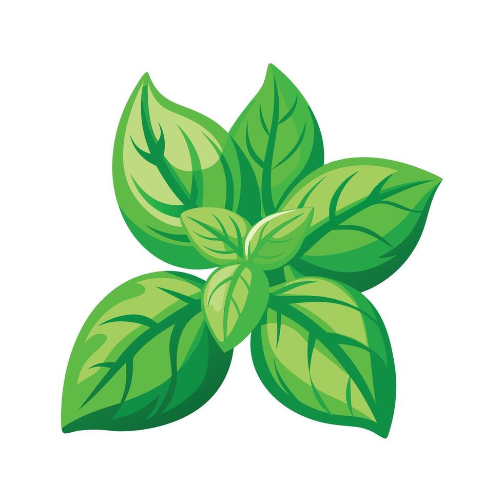Realistic Beautiful Leaves Illustration vector