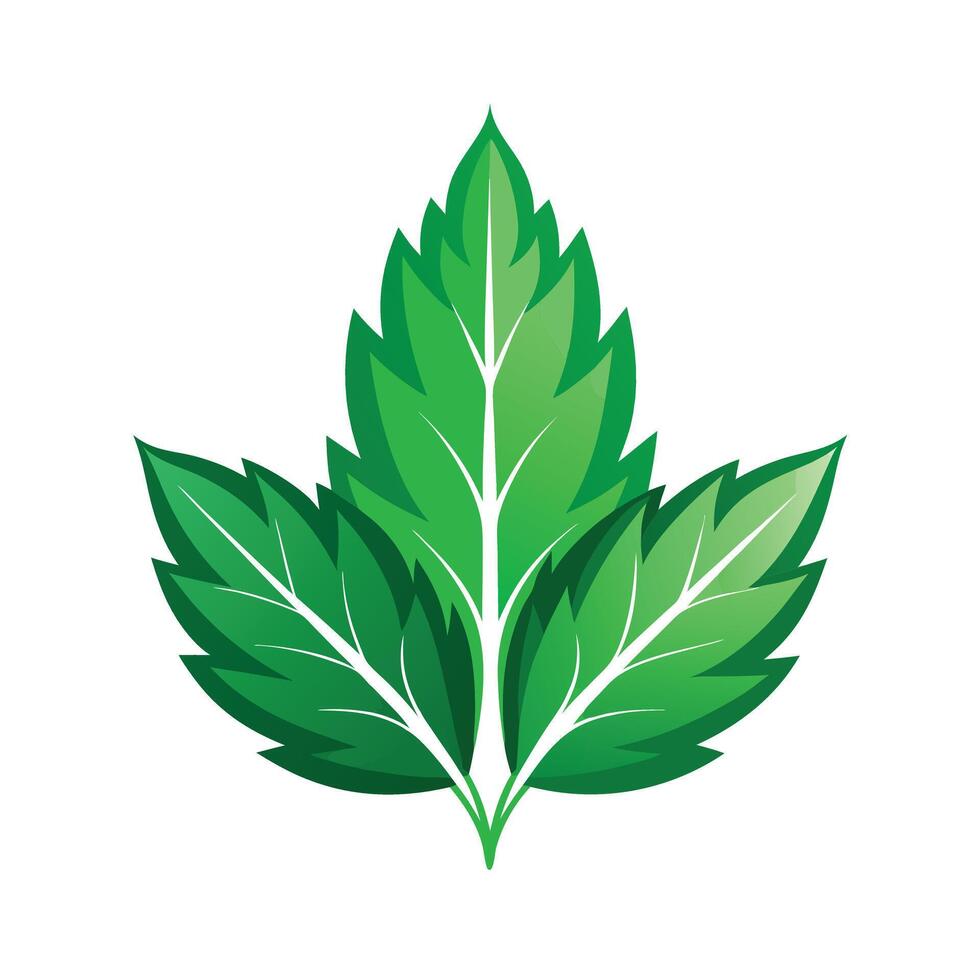 Realistic Beautiful Leaves Illustration vector
