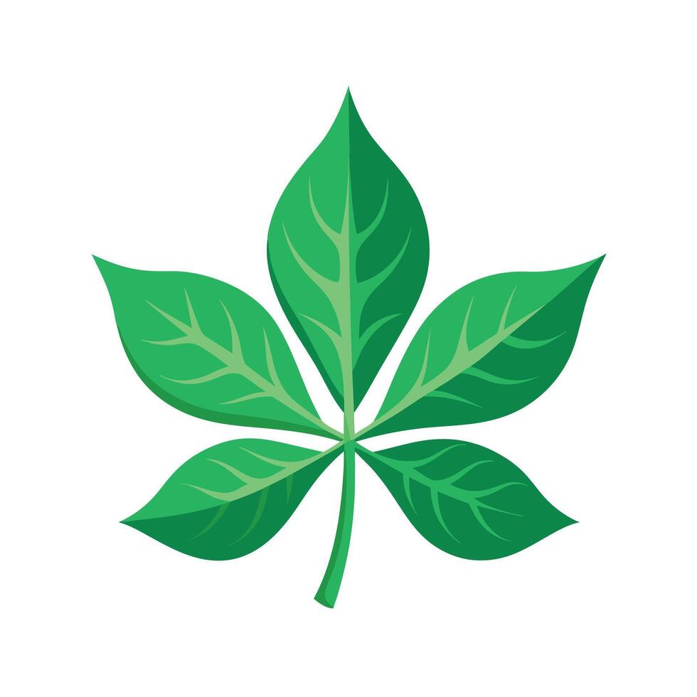 Realistic Beautiful Leaves Illustration vector