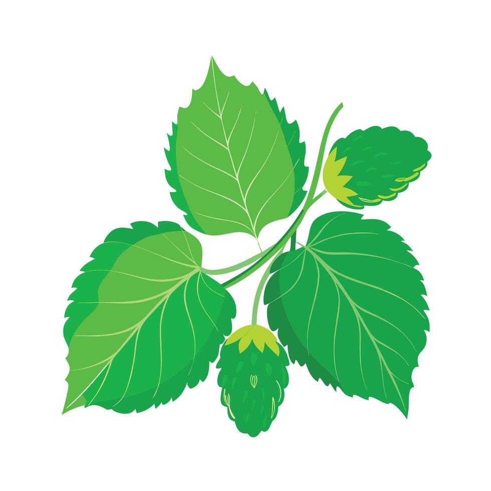 Realistic Beautiful Leaves Illustration vector