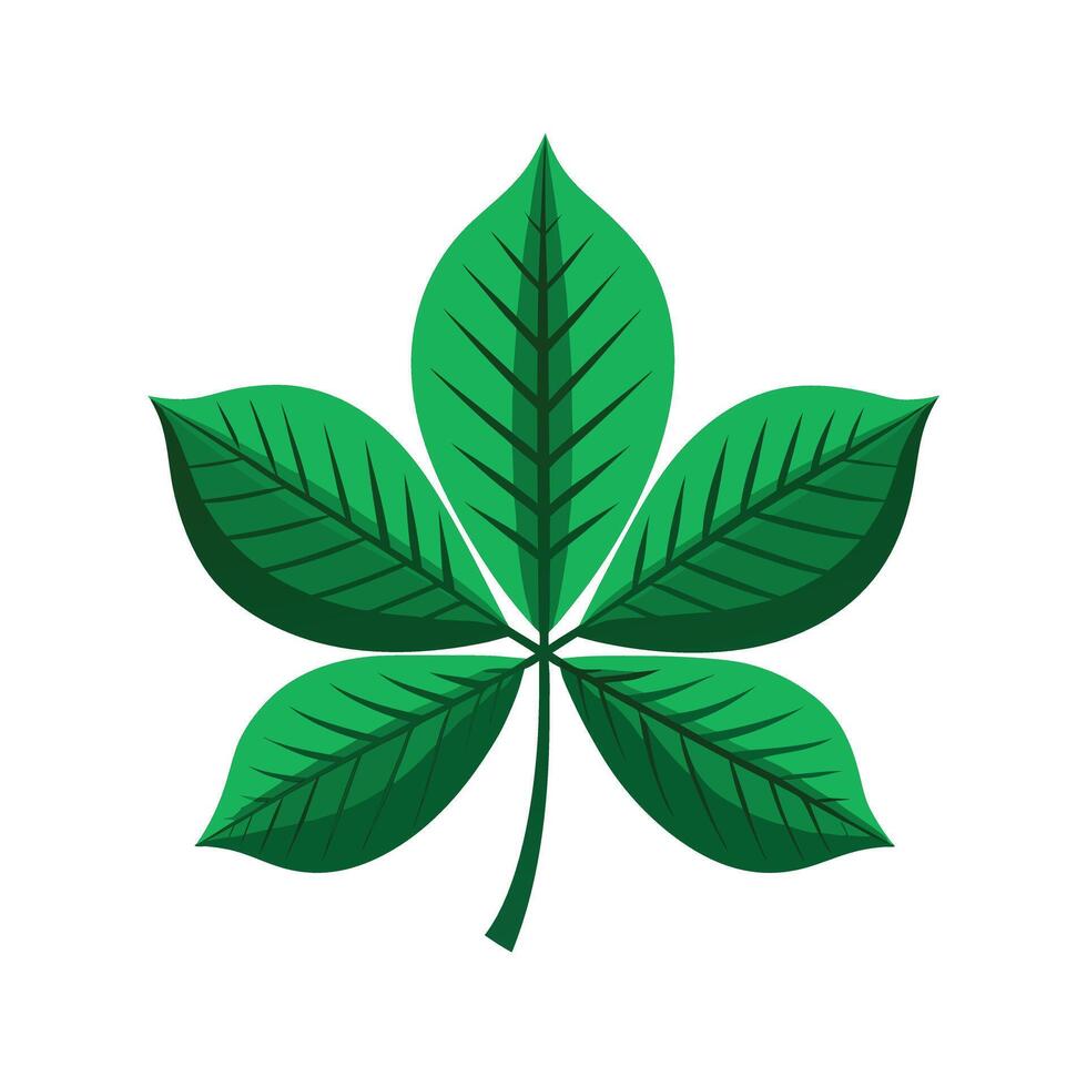 Realistic Beautiful Leaves Illustration vector