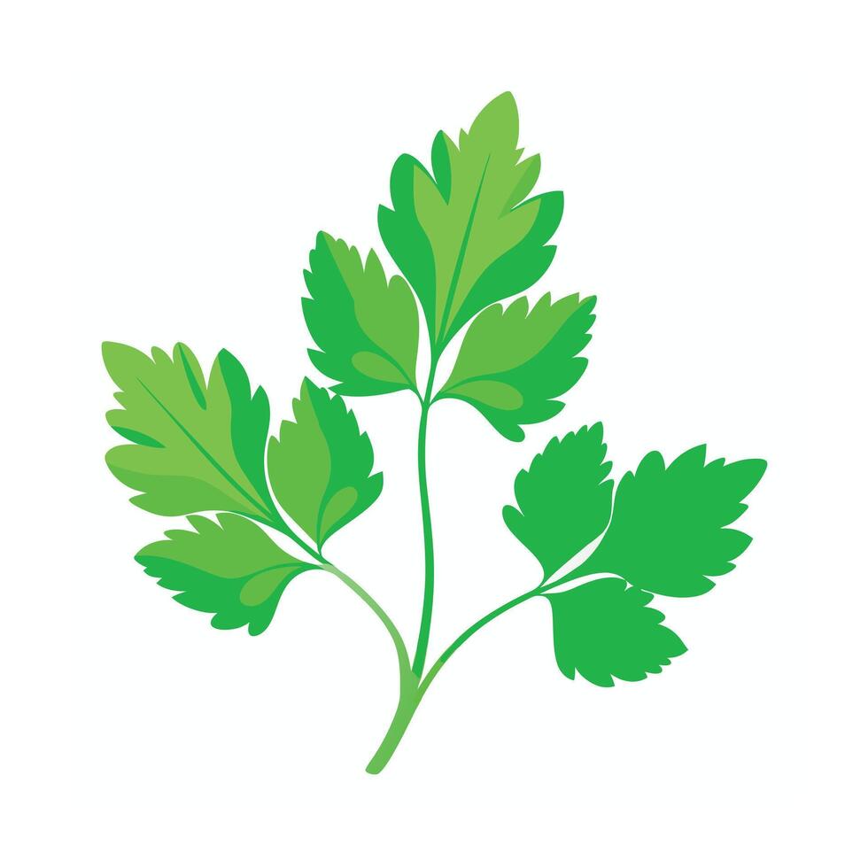 Realistic Beautiful Leaves Illustration vector