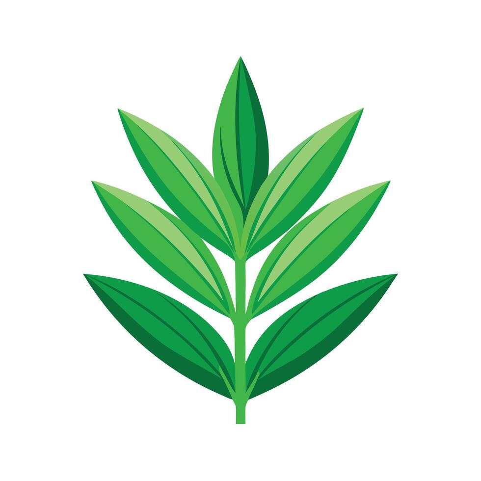 Realistic Beautiful Leaves Illustration vector
