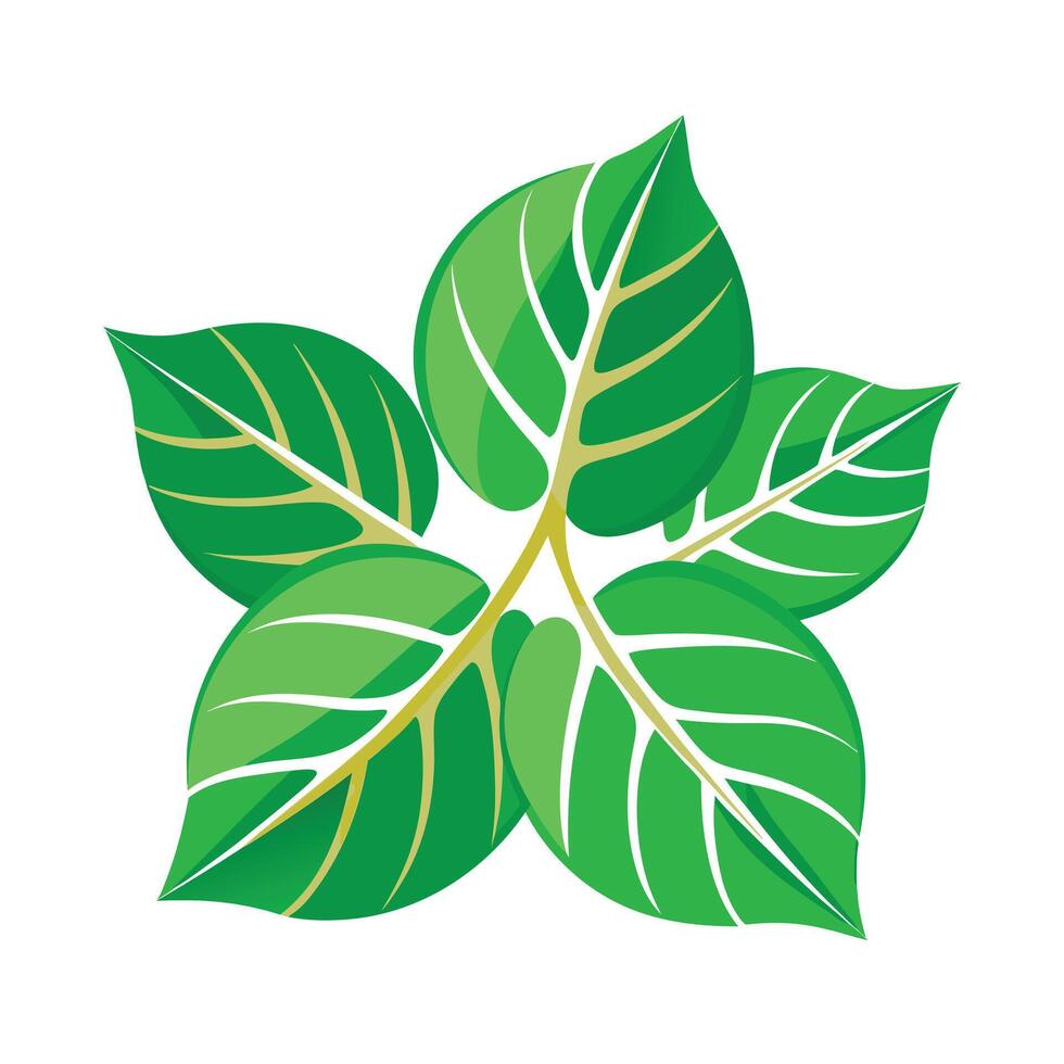 Realistic Beautiful Leaves Illustration vector