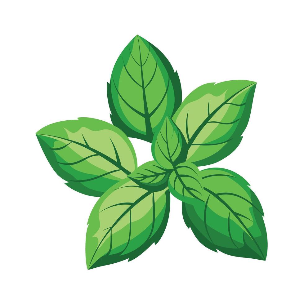 Realistic Beautiful Leaves Illustration vector